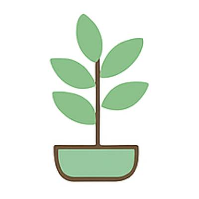 Árboles y Plantas