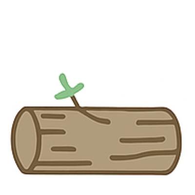 Naturaleza Muerta